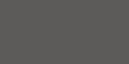 Argenta Museum Dark 60x120 baza