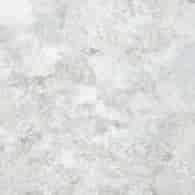 5*Absolut Mindanao 60,8x60,8