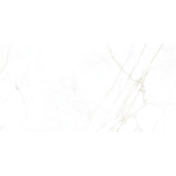 Museum Dual White NT 60x120
