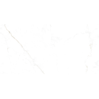 Museum Dual White EP 60x120