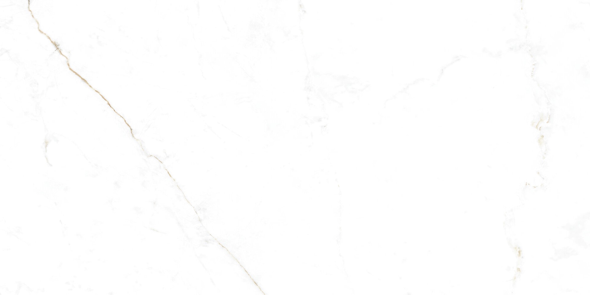 Museum Dual White EP 60x120
