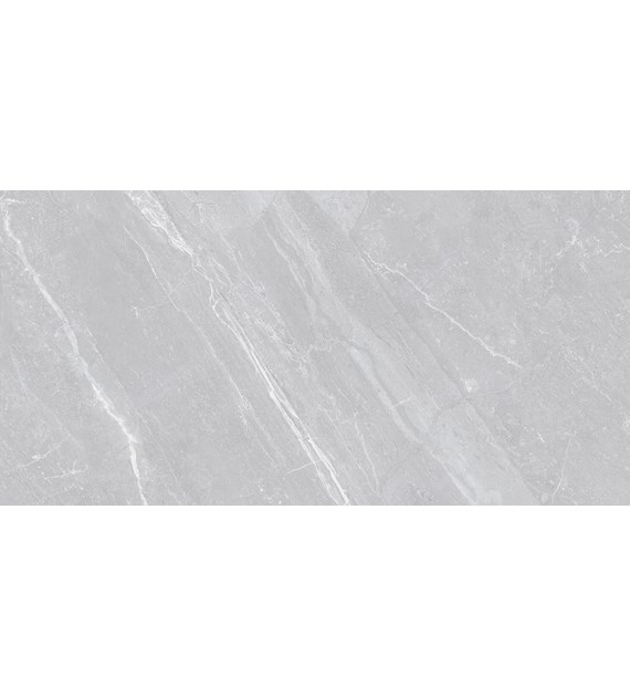 Museum Mainstone Dolphin NT 60x120