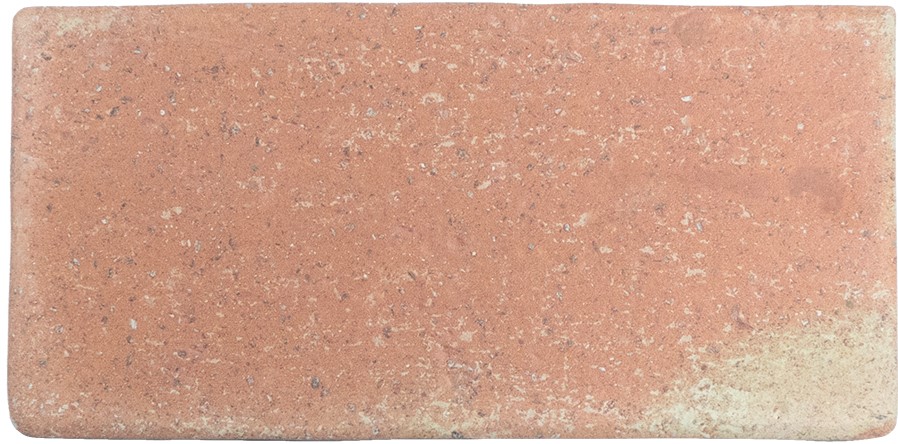 WoW Roots M Cotto 11x22