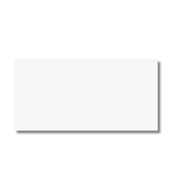 Vives Inari-R Nieve 60x120*