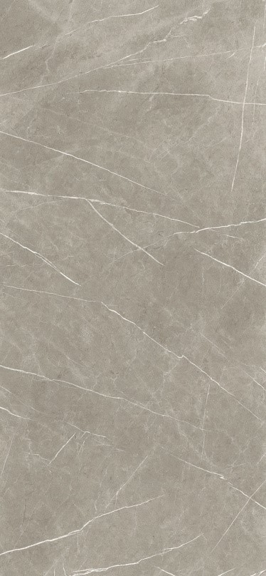 Baldocer Eternal Taupe 120x260 Mat