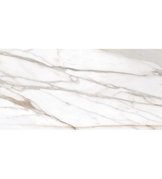 Emil TdM Rel. Calacatta Gold Canova 60x120* Lap mr