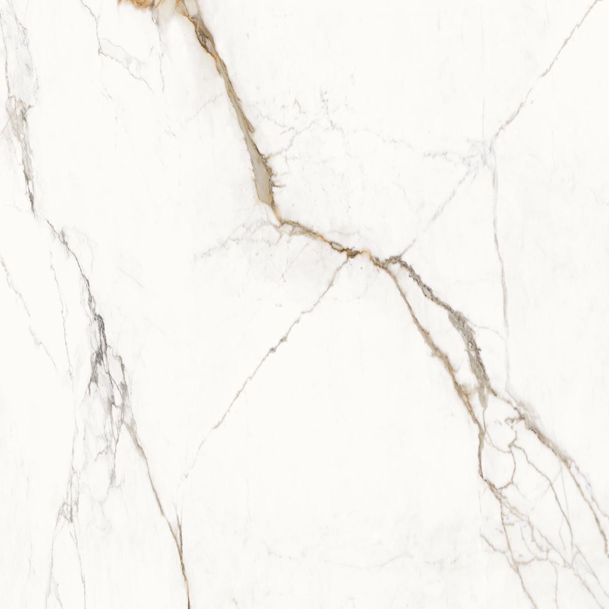 Emil Unique Marble Marmo Paonazzetto 120x120 Silk
