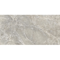 Emil Unique Marble Marmo Moon Grey 60x120* Silk