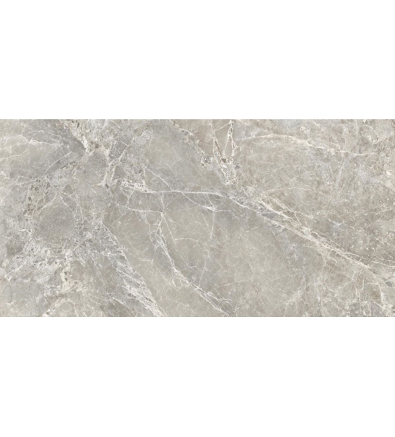 Emil Unique Marble Marmo Moon Grey 60x120* Silk