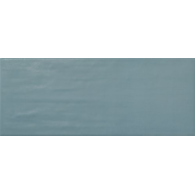 Ape Arts Blue 20x50