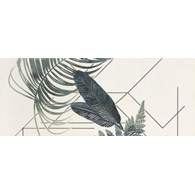 Ape Arts Decor Aka I White 20x50