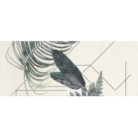 Ape Arts Decor Aka I White 20x50