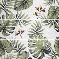 Ape Decor Set(3) Exotica 40x120