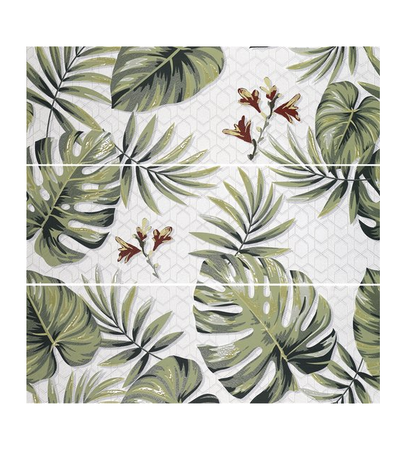 Ape Decor Set(3) Exotica 40x120