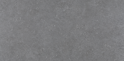 Argenta Kalksten Winter 60x120