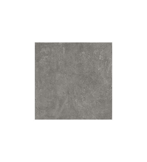 7Aparici Lithops Grey 99,55x99,55 Natural