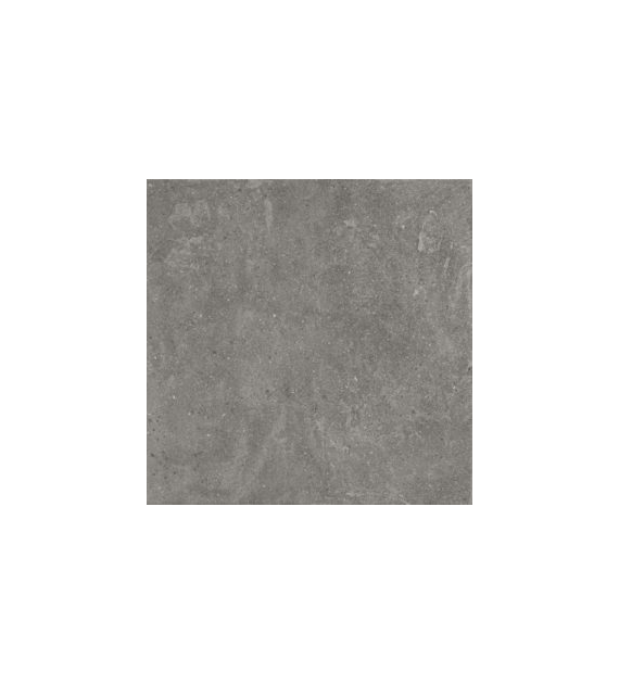 7Aparici Lithops Grey 99,55x99,55 Natural