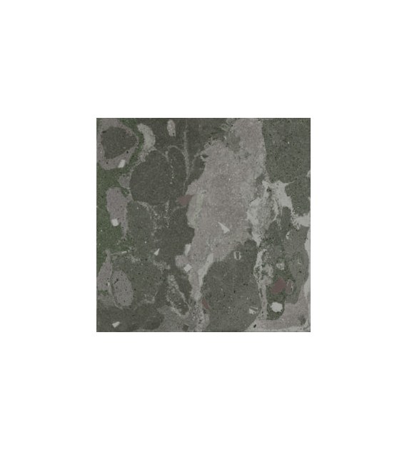 Aparici Lithops Hopi Stamp 99,55x99,55 Natural