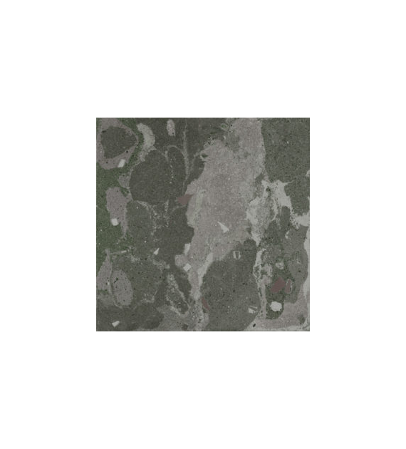 Aparici Lithops Hopi Stamp 99,55x99,55 Natural