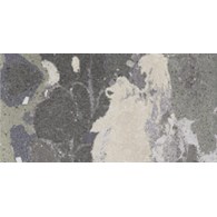 Aparici Lithops Lipan Stamp 49,75x99,55 Natural