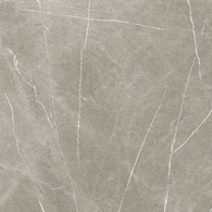 Baldocer Eternal Taupe Natural 120x120