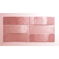 *Equipe Artisan Rose Mallow 6,5x20