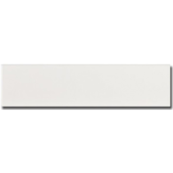 Equipe Evolution Blanco 10x40