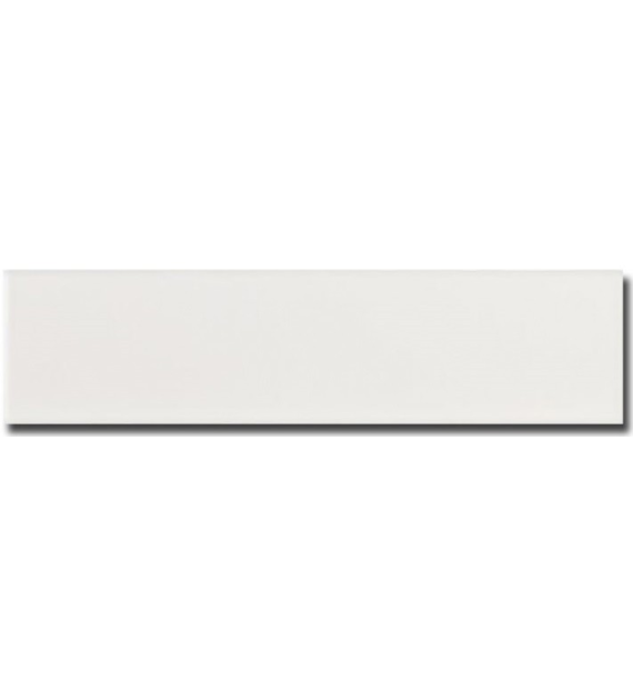 Equipe Evolution Blanco 10x40