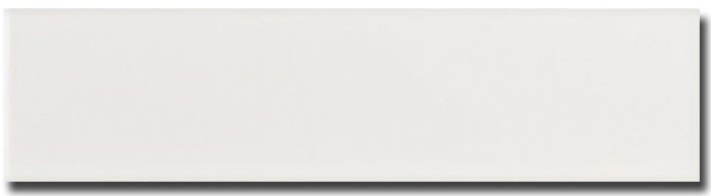 Equipe Evolution Blanco 10x40