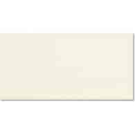 Equipe Evolution Cream 7,5x15