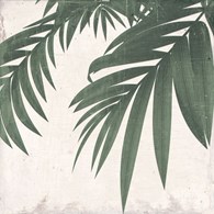 Keros Botanic Spring 25x25 Decorado