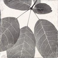 Keros Botanic Winter 25x25 Decorado