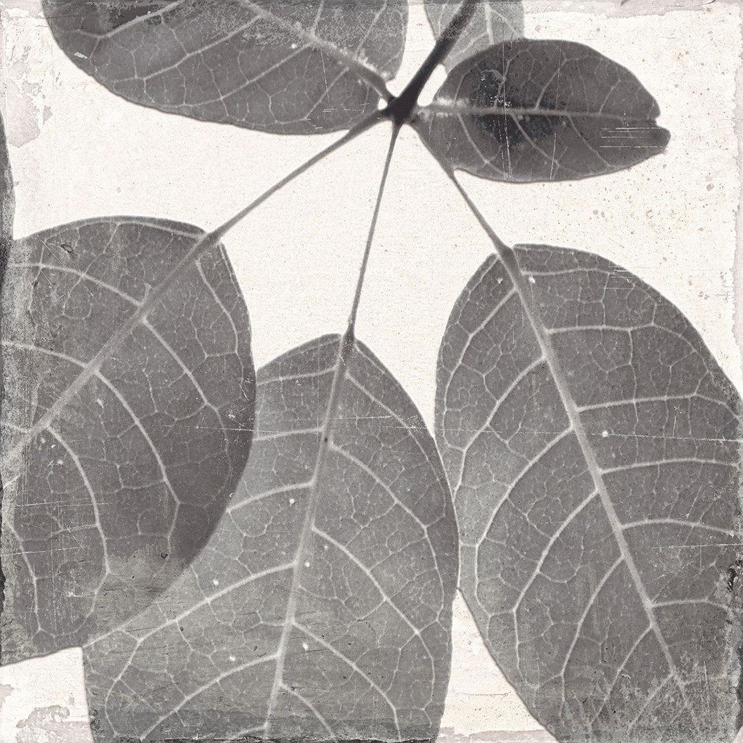 Keros Botanic Winter 25x25 Decorado