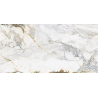 *Pamesa Pisa Gold 60x120 Mat (017)