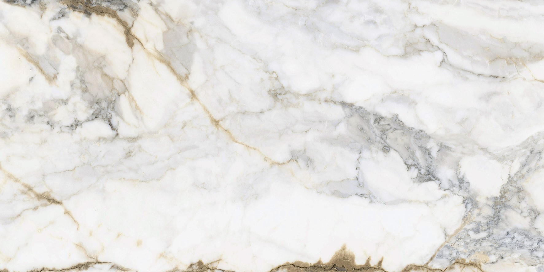 *Pamesa Pisa Gold 60x120 Mat (017)