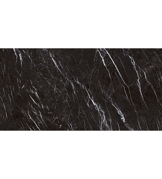 Museum Marquina Black 75,5x151 EP