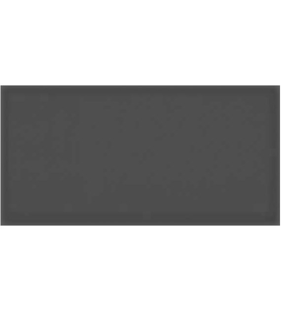 Vives Corso Antracita 10x20