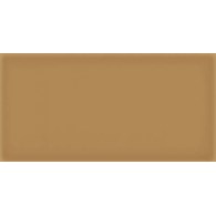 Vives Corso Caramelo 10x20