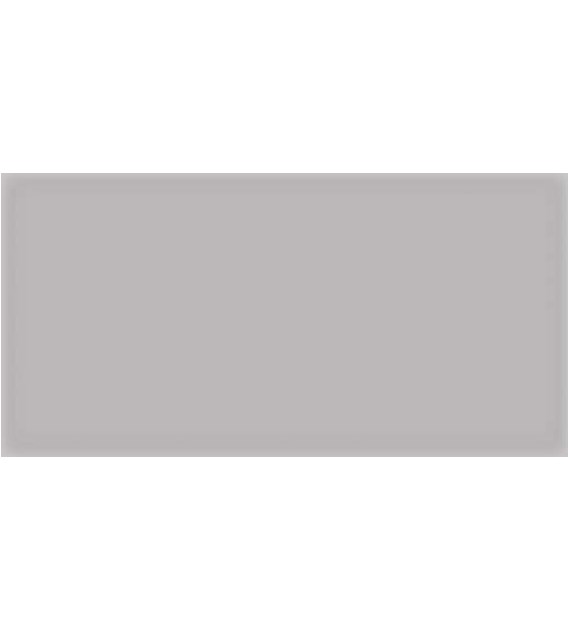 Vives Corso Gris 10x20