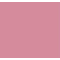 Vives Taco Dome Pink 4x4